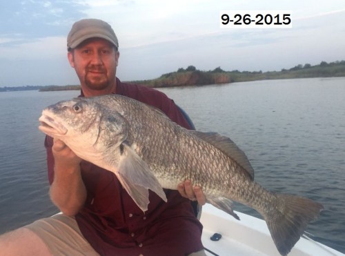 Nathan R,  Dave's 35 lb Black Drum  9-26-2015