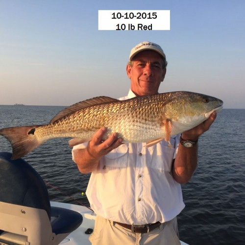 College BuddiesTommy's 10 lb red 10-10-2015