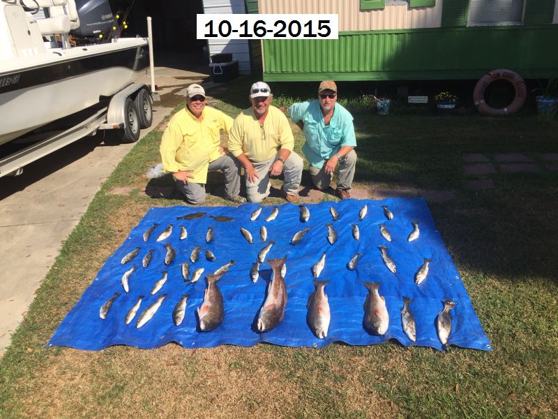 David N. Chris & Steve 10-16-2015