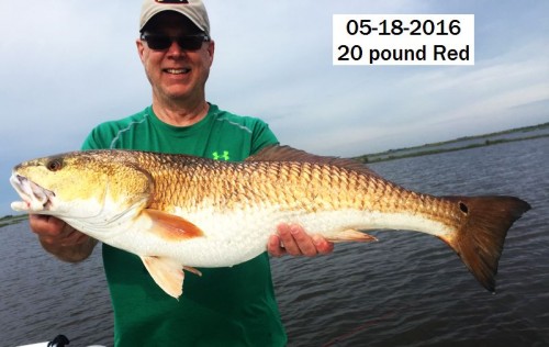 Terry M. Hal's Red 20 lb 05-18-2016